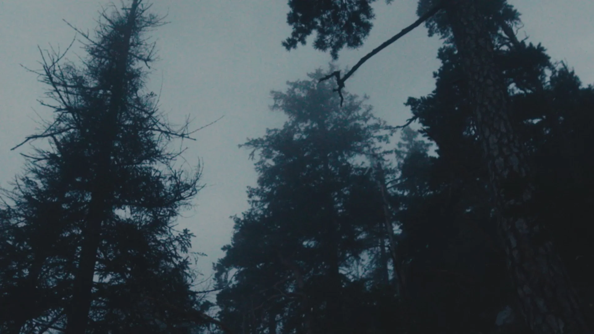 Österreichische Handwerkskunst für kalte Tage